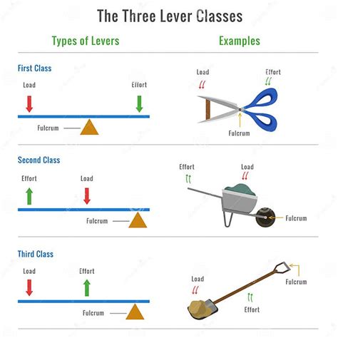 Different Types of Levers with Examples Vector Illustration Stock Vector - Illustration of ...