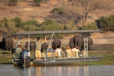 De Victoria Falls Um Dia Inteiro De Saf Ri Em Chobe Almo O Buffet