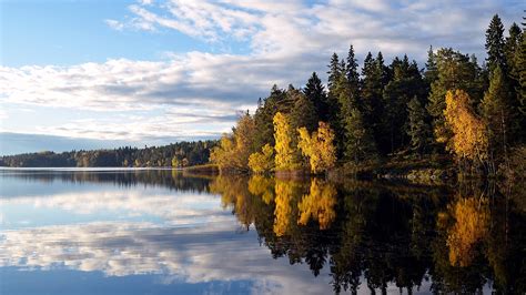 Fonds d ecran 1920x1080 Forêts Automne Lac Suède Flaten lake Arbres