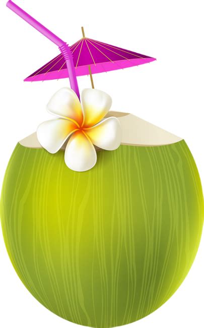 Cocktail png noix de coco tube boisson breuvage été