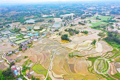 重庆梁平：水润田园美如画重庆新浪新闻