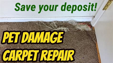 How To Repair Ripped Carpet On Stairs | www.resnooze.com