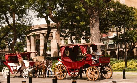 Calandria Carriage Campestre Al Gov Br