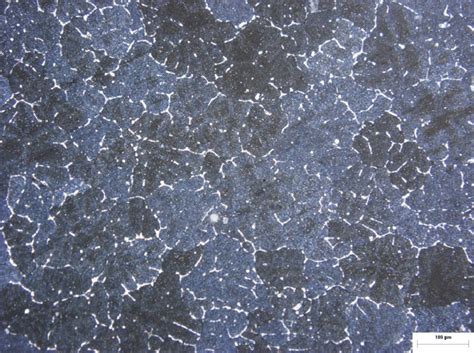 Microstructure of a sample for metallographic observation under ...