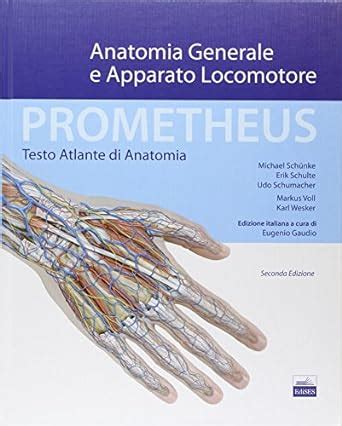 Prometheus Testo Atlante Di Anatonomia Anatomia Generale E Apparato