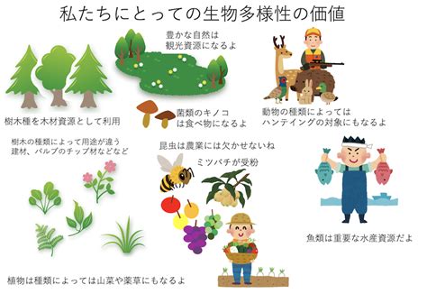 民族植物学の情報を活用して生物多様性の恩恵を評価：日本の建材資源と森林文化の持続可能性 琉球大学