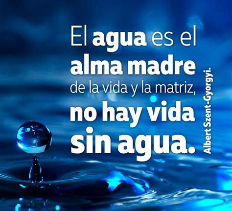 Frases Sobre El Cuidado Del Agua