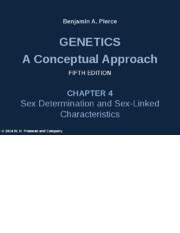 Ch Sex Determination Ppt Benjamin A Pierce Genetics A Conceptual