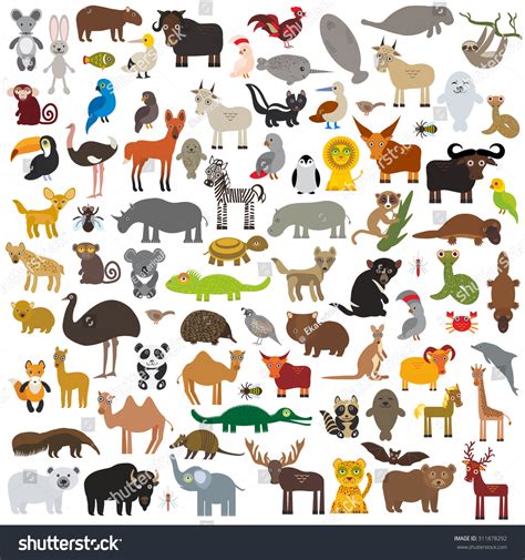 Set Cartoon Animals All Over World Stock Vector (Royalty Free ...