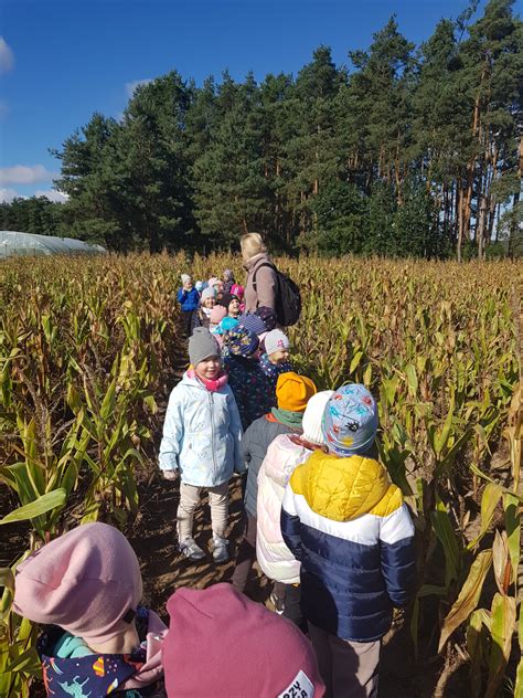 Wycieczka do Zagrody Białego Króliczka Przedszkole nr 15 w Ostrowie