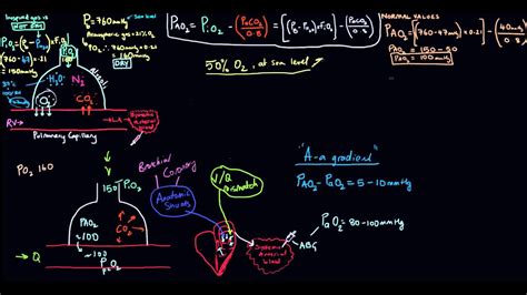 A A Gradient Alveolar Arterial Oxygen Gradient Youtube