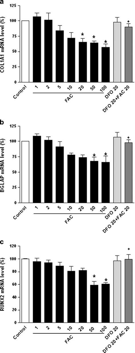 The Impact Of FAC Exposure On The Expression Of Osteoblast Genes In