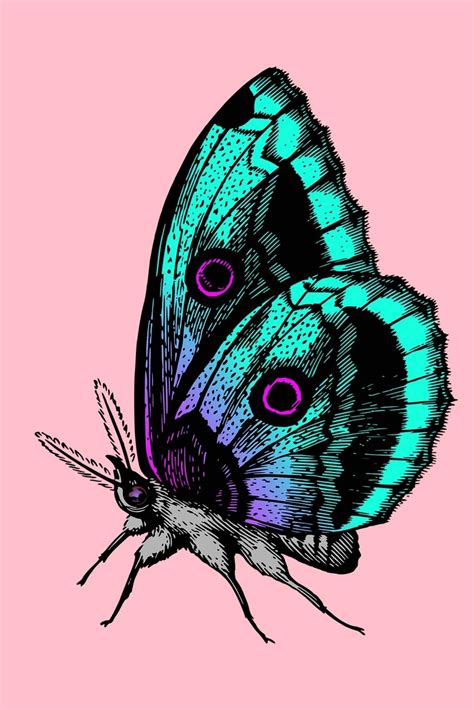 Butterfly Black And White Drawing at PaintingValley.com | Explore ...