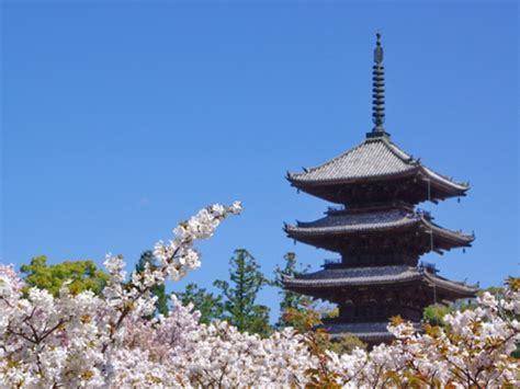 一度は見ておきたい重要文化財シリーズ・京都の旅編 お墓きわめびとの会