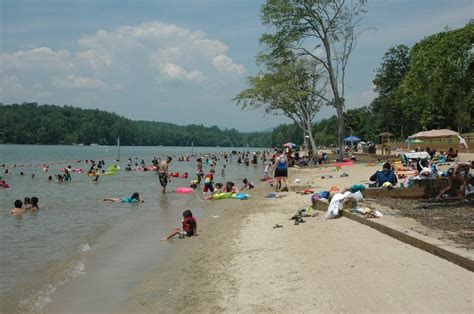 Lake James State Park Paddys Creek Area Burke County Tourism