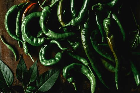 What is spiced Rum? - drinkstype.com