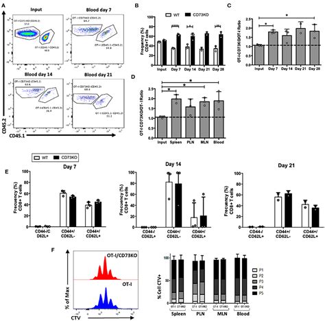 Frontiers Ecto Nucleotidase Cd Regulates The Survival Of Cd