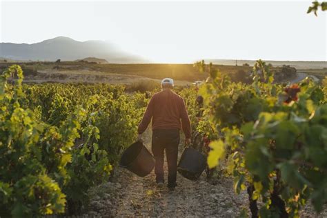 A Asociación Agraria de Galicia presenta candidatura en 12 órganos de