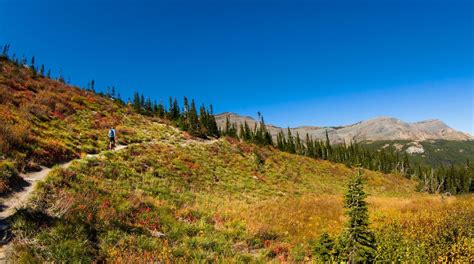 Visit Glacier National Park in Montana | Expedia