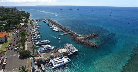 Why Lahaina Is The Best Place For Whale Watching In Hawaii