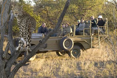 Selbstfahrer Safari Namibia Botswana Und Simbabwe