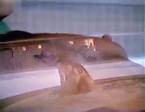 Beach Blanket Malibu Nude Scenes Aznude