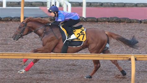 【中京記念】ウイングレイテスト上昇ムード！栗東滞在効果だ、松岡も好感触 スポニチ競馬web