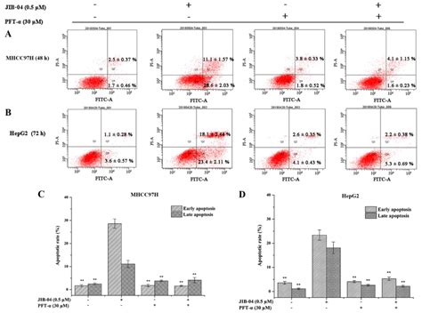 Jib‑04 Induces Cell Apoptosis Via Activation Of The P53bcl‑2caspase