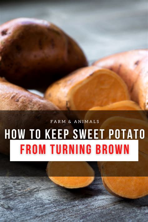 How To Keep Sweet Potatoes From Turning Brown Artofit