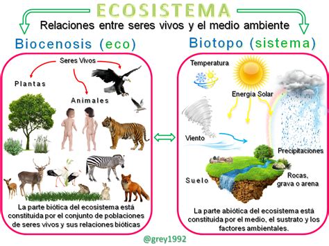 Biocenosis O Comunidades Bióticas — Hive