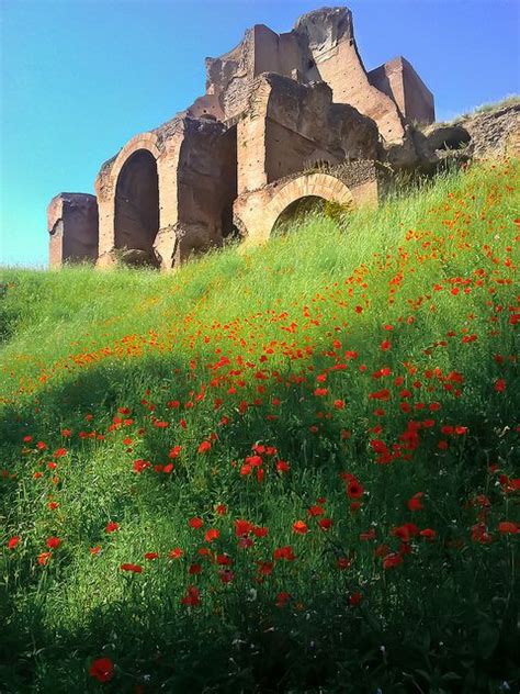 Once A Year Not To Miss Circo Massimo Rome Italy Paesaggi