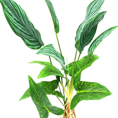 Most Realistic Artificial Aquarium Plants – Aquafaux