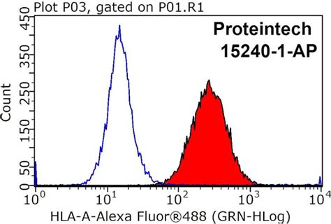 Hla Class I Abc Polyclonal Antibody 15240 1 Ap