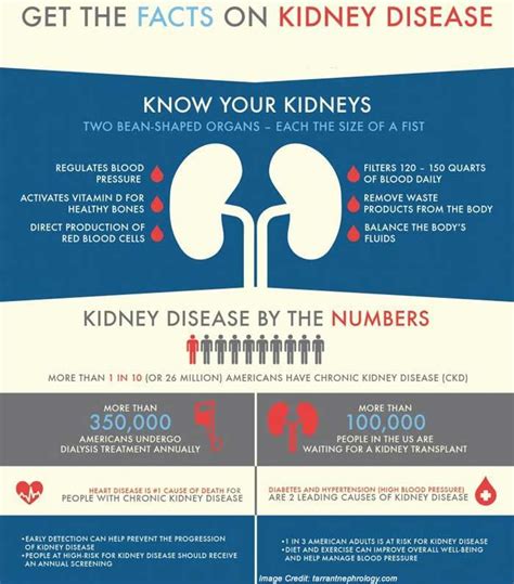 Nyc Kidney Walk Brings Awareness To Prevent Kidney Disease Kidney