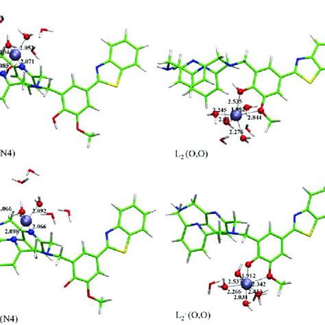 Optimized structures for Cu-L 2 (a) and Cu-L 2 À (b) complexes ... 