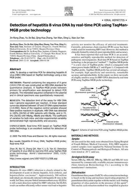 Pdf Detection Of Hepatitis B Virus Dna By Real Time Pcr Using Taqman