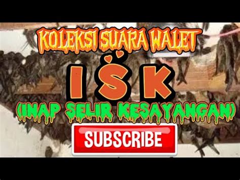 KOLEKSI INAP SELIR KESAYANGAN ISK YouTube