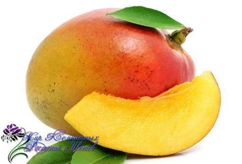 Как вырастить манго из косточки В Индии до сих пор жив древний обычай ...