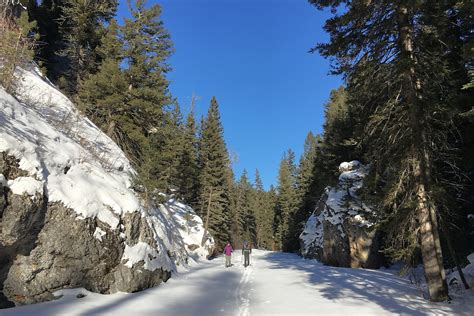 Judith Guard Station: Winter Cabin Adventure in Montana - TravelingMel