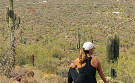 Hiking Usery Mountain Mesa, AZ - Compass + Twine