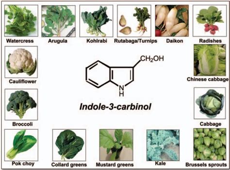China Indole 3 Carbinol Powder Manufacturers Suppliers - Indole 3 ...