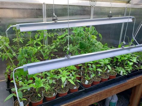 Urban Gardening 101 How To Build A Grow Room In A Garage