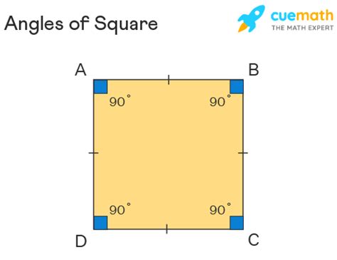 Angles of Square - Interior Angles, Diagonal Angles, and Sum of Angles