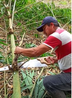 FAO Ecuador On Twitter Pichincha En El Marco Del Proyecto