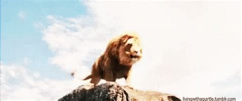 Lion Roar Gif Tumblr