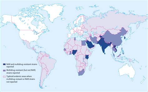 Typhoid And Paratyphoid Fever The Lancet