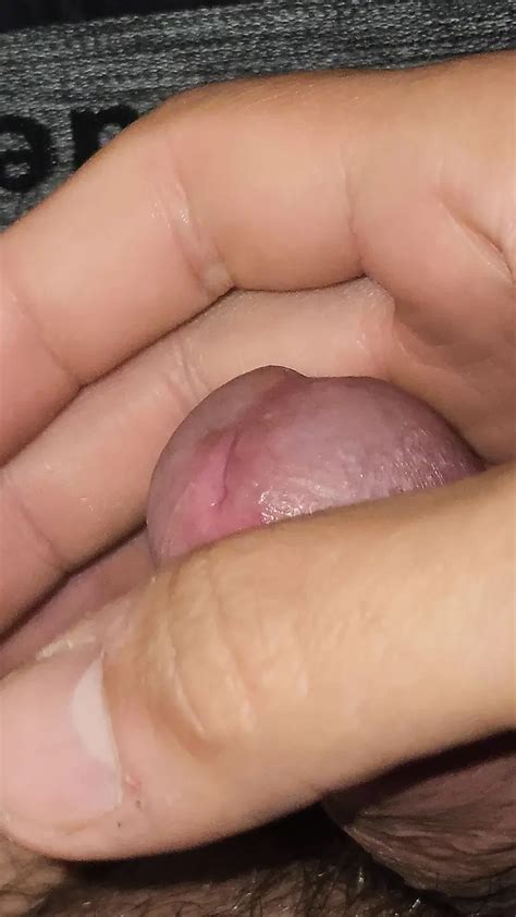 Free Small Cock Crossdresser Gay Porn Videos XHamster