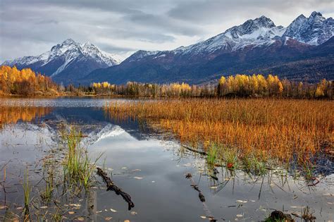 Reflections Lake 1 Painting By Dan Twitchell Fine Art America