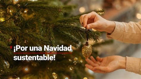 Navidad Sustentable Rboles Rentados Para Navidad La Propuesta Para