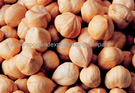 Hazelnuts Blanched Hazelnuts Hazelnuts Inshell And Kernels Organic